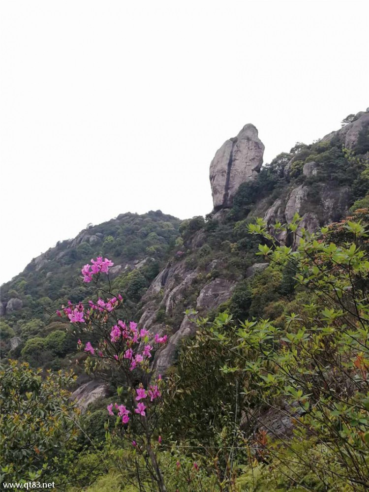 仙游麦斜岩(小武夷山)野炊活动