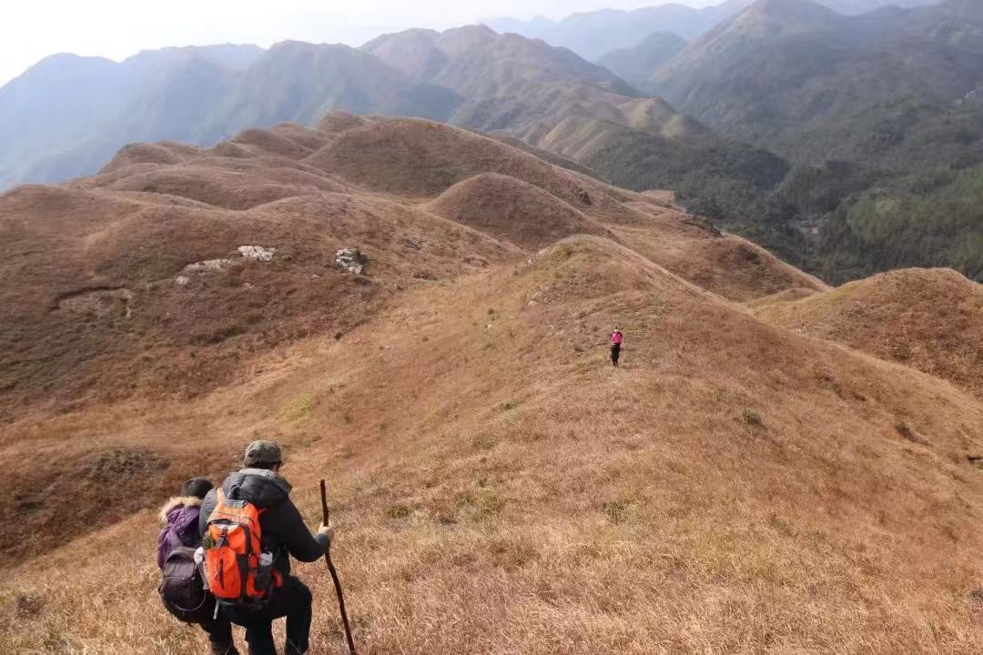 【新线路初级徒步】徒步宁德天湖，南山，上湖，针方山，尖峰顶，南后山，万亩草场，蕉城版武功山